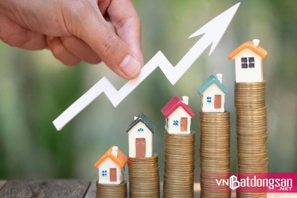 Mua đất xong, bạn không cần làm gì nữa, và chỉ chờ đợi