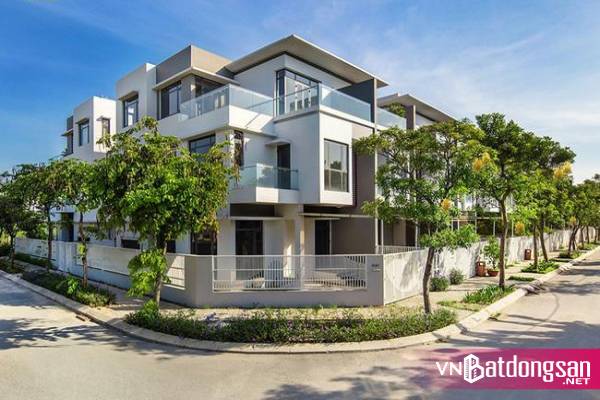 Vì sao nhà liền thổ vẫn sống khỏe giữa dịch Covid-19?